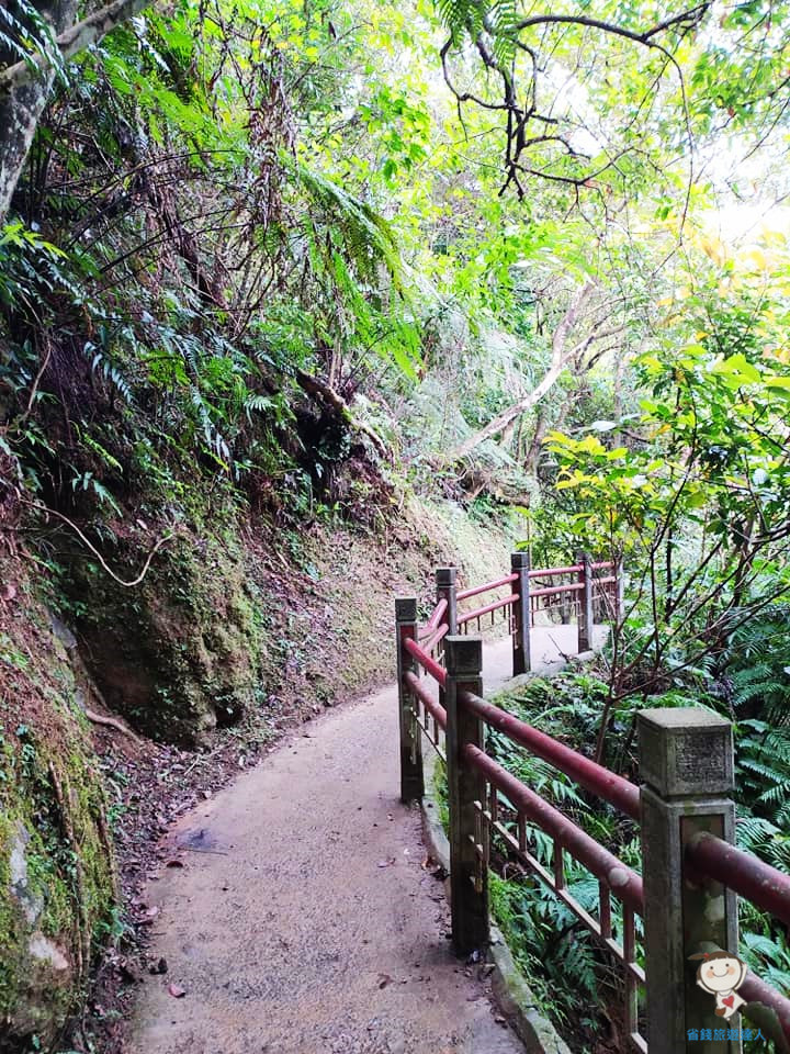 五峰旗瀑布｜宜蘭礁溪最平易近人的步道,抹茶山起點