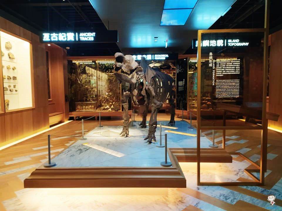 國立台灣博物館｜台北室內親子景點,門票只需$30