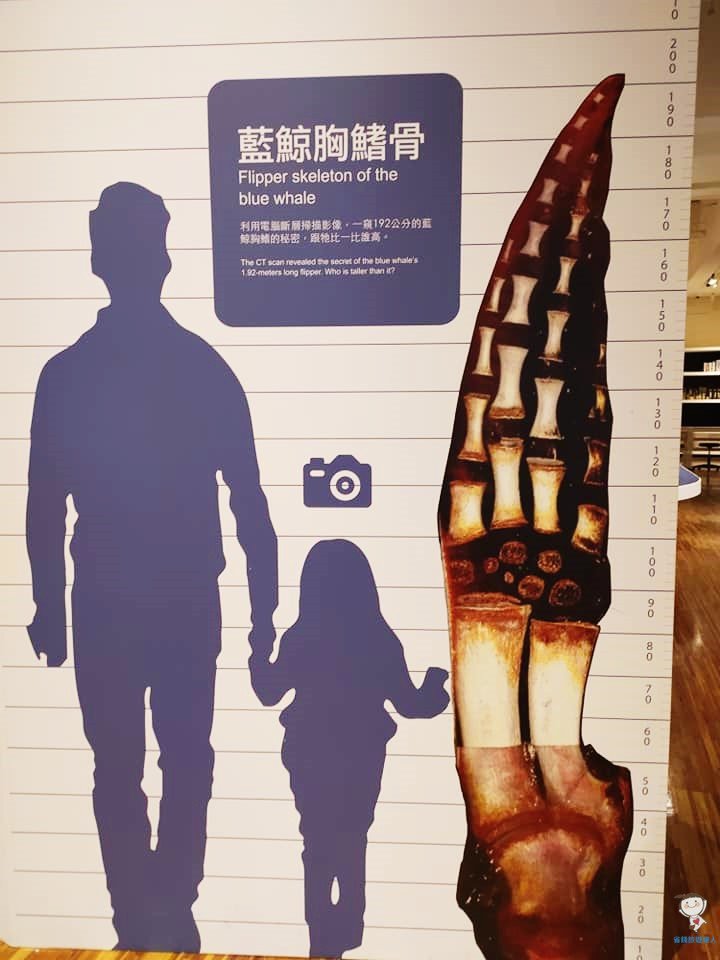 國立台灣博物館｜台北室內親子景點,門票只需$30