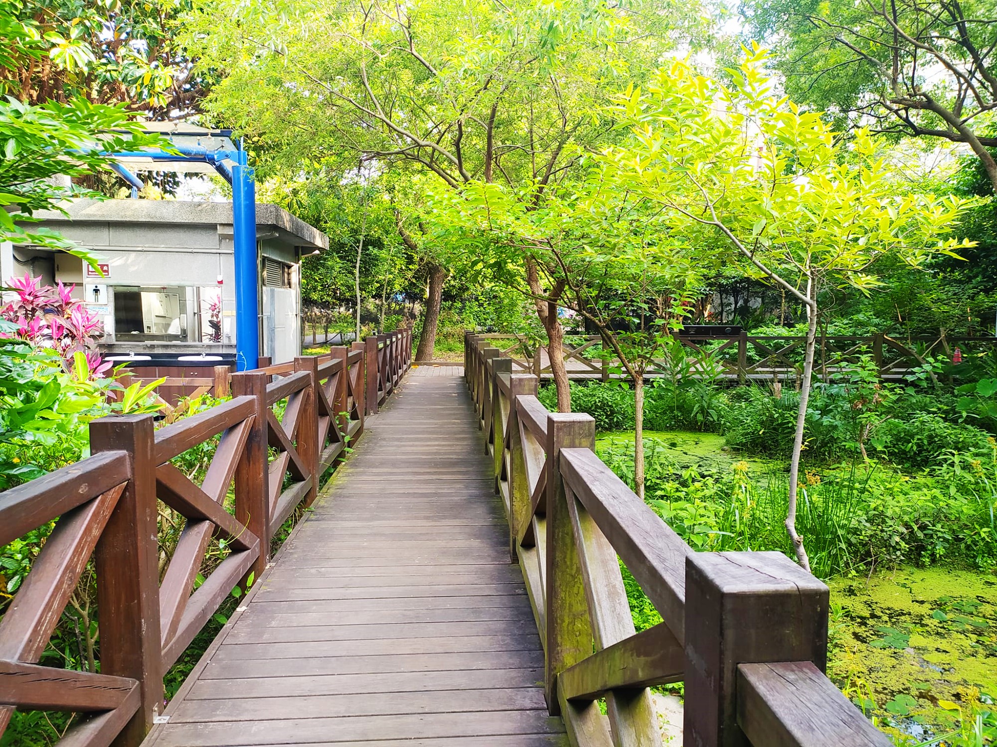 榮星花園｜老台北人最熟悉的市區公園