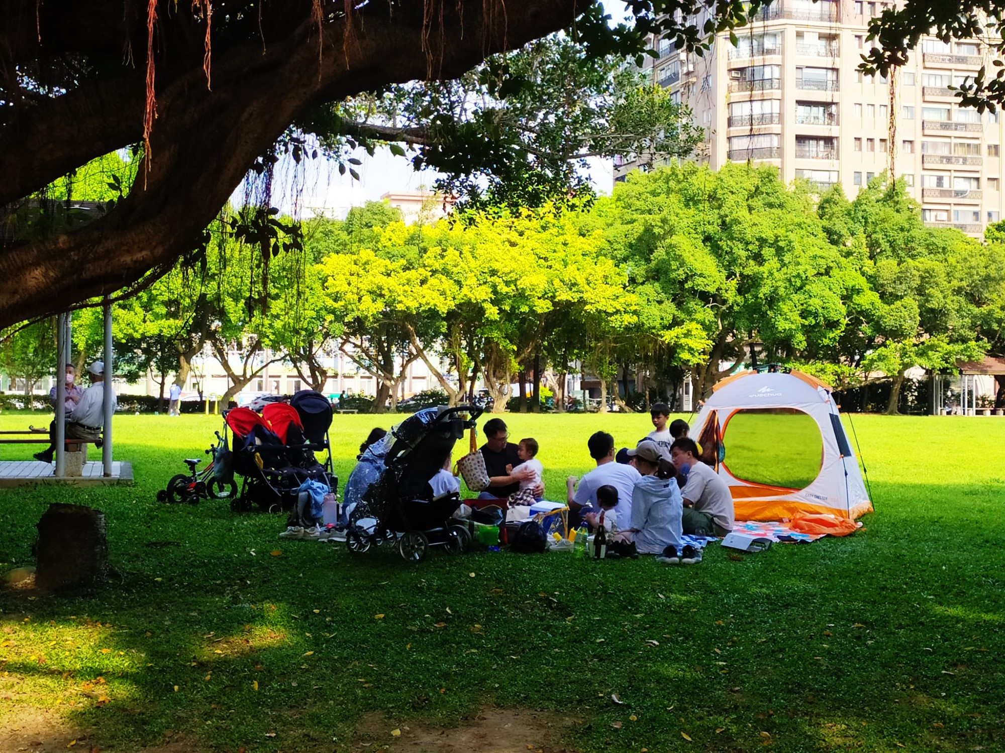 榮星花園｜老台北人最熟悉的市區公園