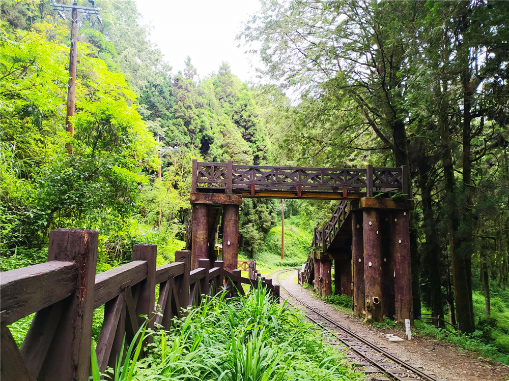 眠月線｜嘉義景點,夏日最涼爽的鐵路森林步道