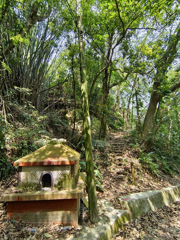 台中后里景點|泰安隘勇古道探秘,柳暗花明又一村的超easy步道 隘勇古道