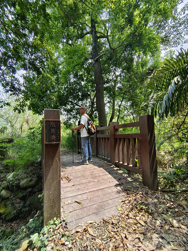 台中后里景點|泰安隘勇古道探秘,柳暗花明又一村的超easy步道 隘勇古道