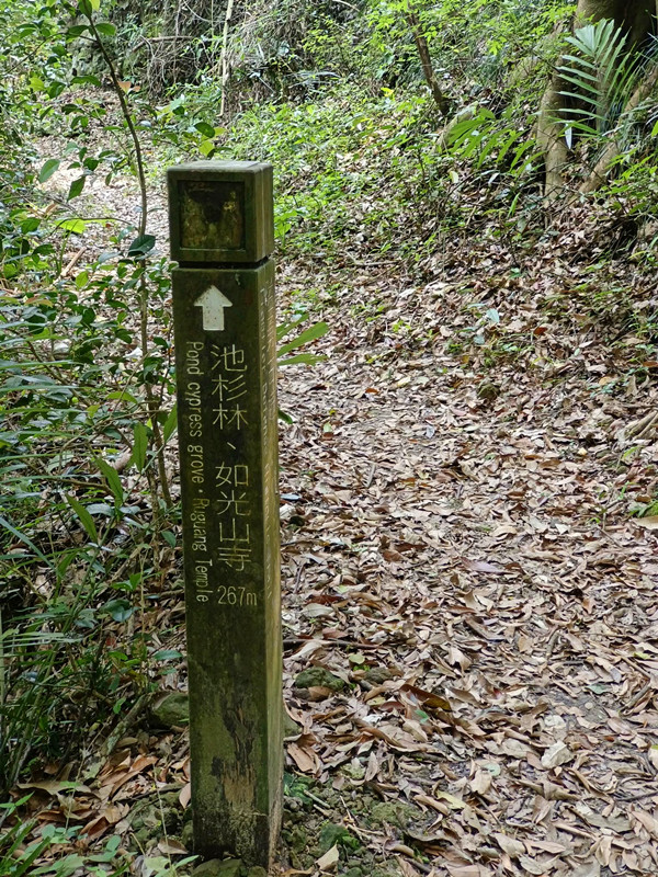 台中后里景點|泰安隘勇古道探秘,柳暗花明又一村的超easy步道 隘勇古道