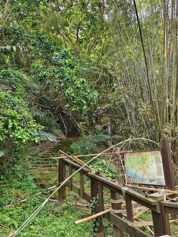 台中后里景點|泰安隘勇古道探秘,柳暗花明又一村的超easy步道 泰安登山步道