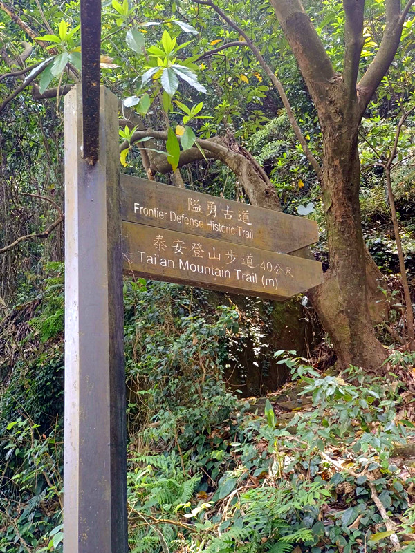 台中后里景點|泰安隘勇古道探秘,柳暗花明又一村的超easy步道 泰安登山步道
