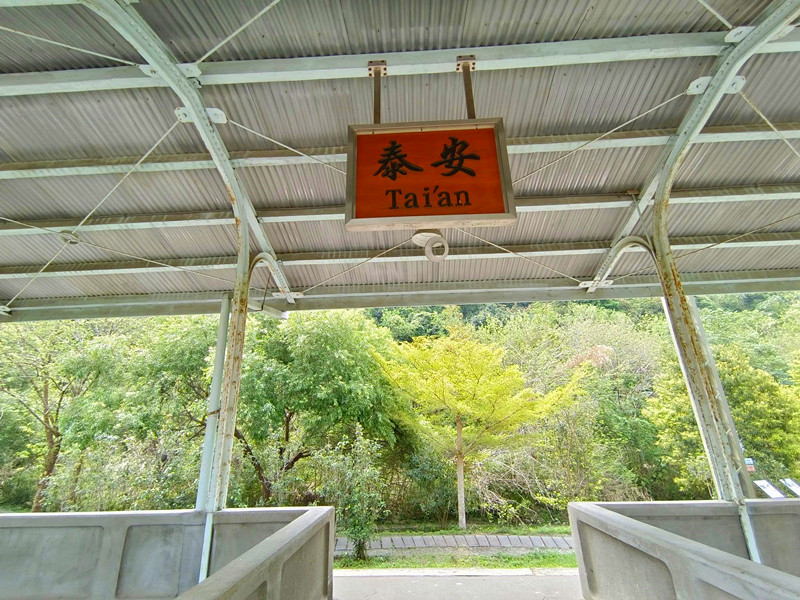 台中后里景點|泰安隘勇古道探秘,柳暗花明又一村的超easy步道 泰安鐵道園區