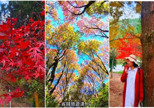 全台四大楓紅秘境｜中台灣楓海,台北古剎紅葉,美到讓人屏息