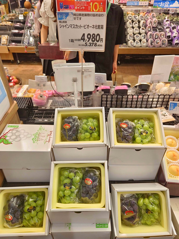 日本岡山必買|AEON永旺夢樂城逛街攻略,美食,藥妝和伴手禮 岡山AEON