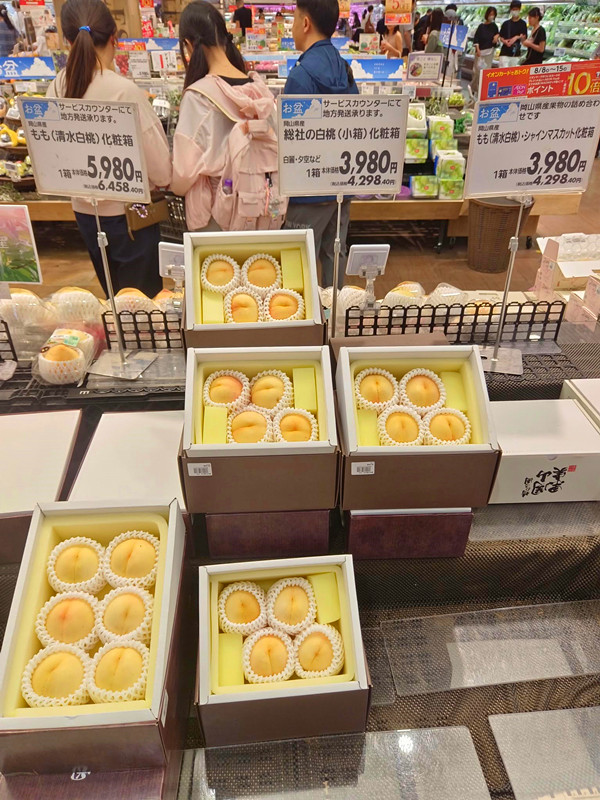 日本岡山必買|AEON永旺夢樂城逛街攻略,美食,藥妝和伴手禮 岡山AEON