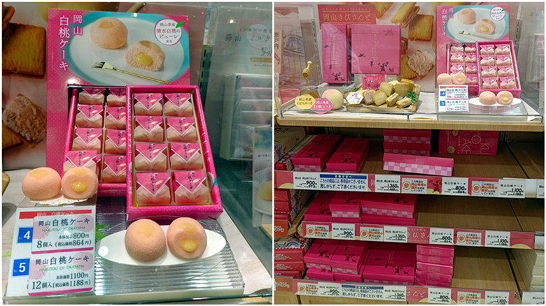 日本岡山必買|AEON永旺夢樂城逛街攻略,美食,藥妝和伴手禮 岡山AEON