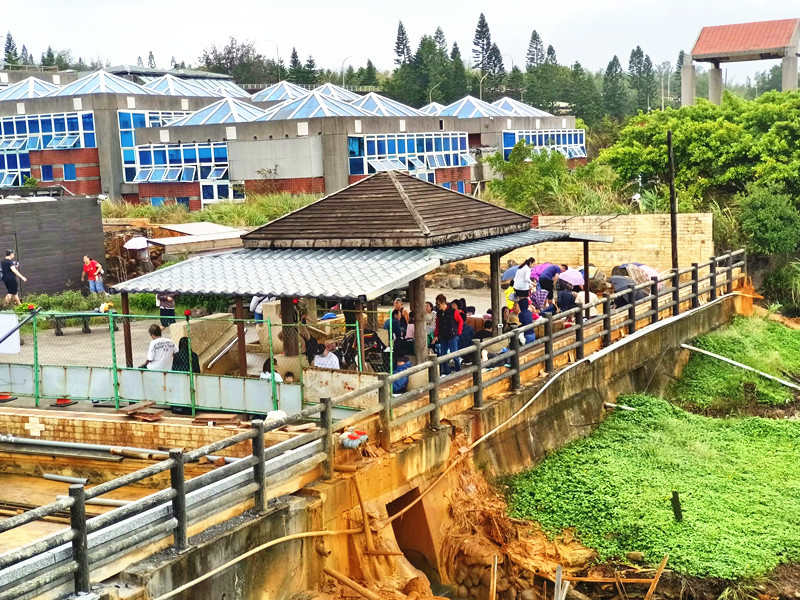 新北金山|免費泡黃金湯的好去處:中山溫泉公園&磺港公共浴池 磺港溫泉公共浴池