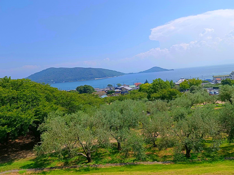 日本四國必訪|小豆島滿滿希臘風情,騎飛天掃把,變身魔女宅急便! 小豆島