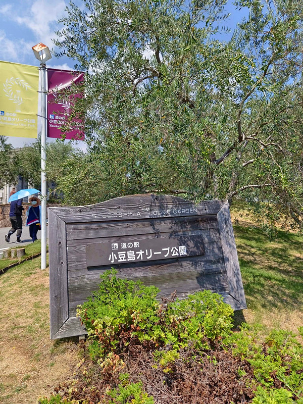 日本四國必訪|小豆島滿滿希臘風情,騎飛天掃把,變身魔女宅急便! 小豆島