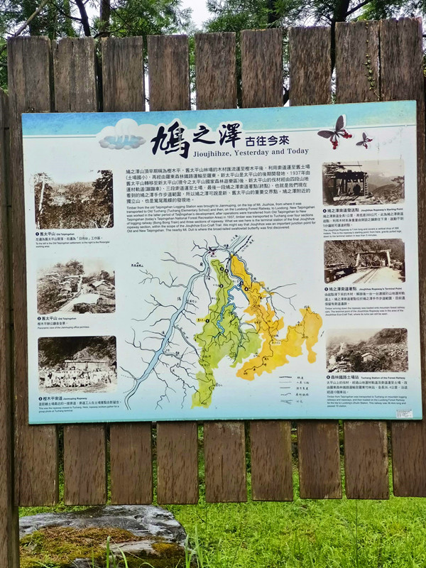 宜蘭太平山|鳩之澤溫泉石頭湯池,溫泉煮蛋,山毛櫸步道一次滿足 鳩之澤溫泉