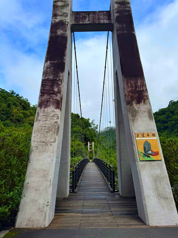 宜蘭太平山|鳩之澤溫泉石頭湯池,溫泉煮蛋,山毛櫸步道一次滿足 鳩之澤溫泉
