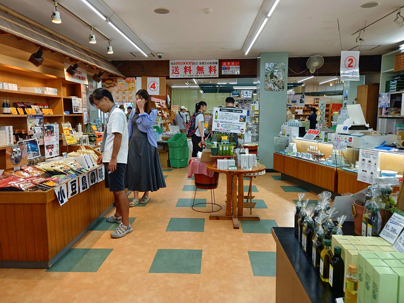 寒霞溪纜車|小豆島必訪紅葉秘境,觀景台,美景美食一次滿足 小豆島伴手禮