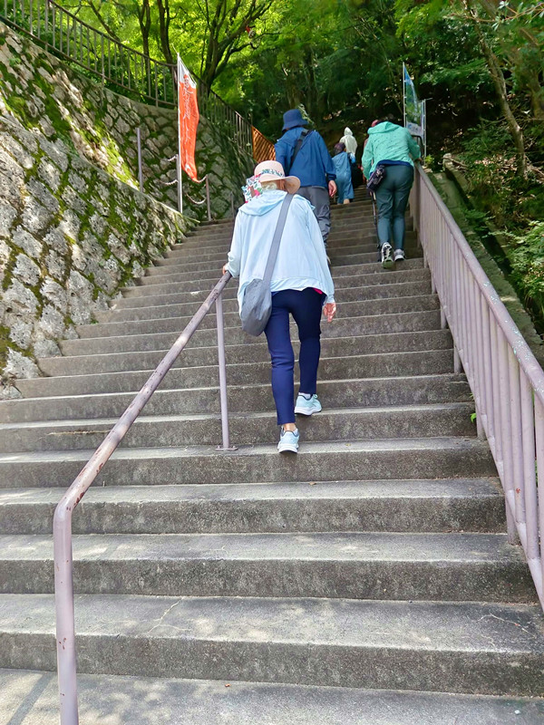 寒霞溪纜車|小豆島必訪紅葉秘境,觀景台,美景美食一次滿足 寒霞溪纜車