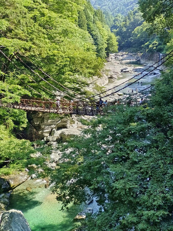 日本四國德島秘境|祖谷藤蔓橋,絕美溪谷瀑布一次滿足! 祖谷藤蔓橋