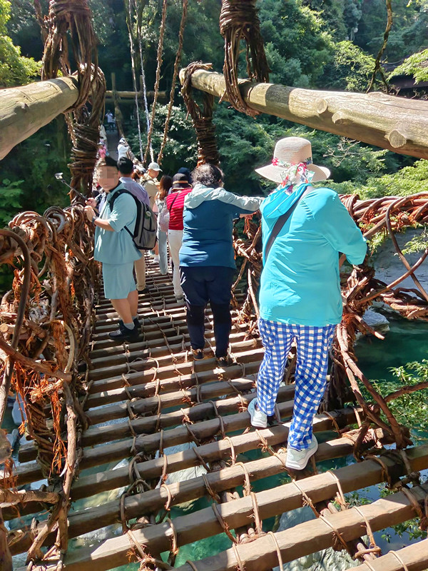 日本四國德島秘境|祖谷藤蔓橋,絕美溪谷瀑布一次滿足! 祖谷藤蔓橋