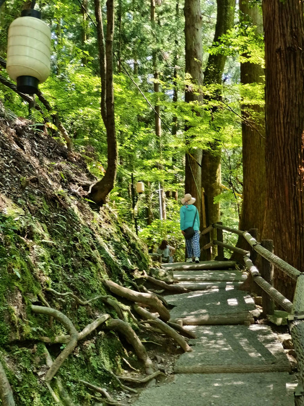 日本四國德島秘境|祖谷藤蔓橋,絕美溪谷瀑布一次滿足! 祖谷藤蔓橋