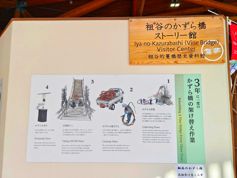 日本四國德島秘境｜祖谷藤蔓橋,絕美溪谷瀑布一次滿足！