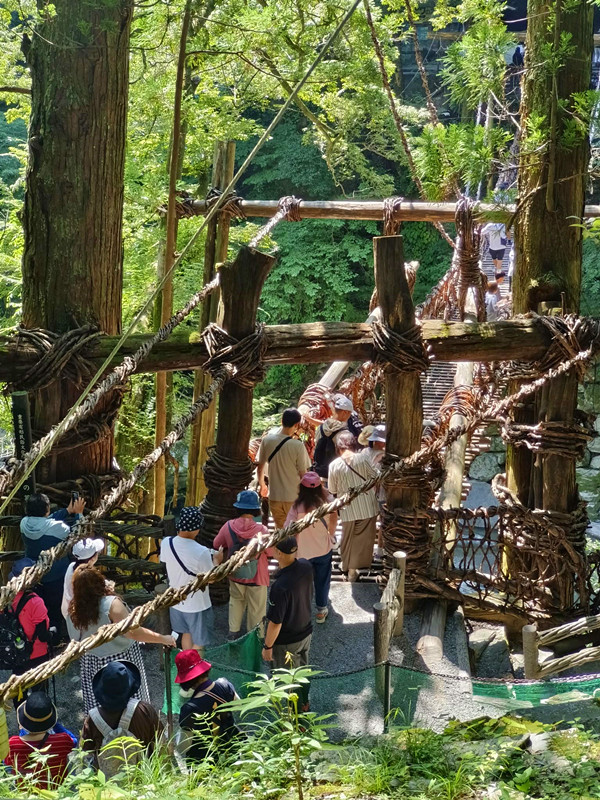 日本四國德島秘境|祖谷藤蔓橋,絕美溪谷瀑布一次滿足! 祖谷藤蔓橋