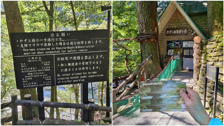 日本四國德島秘境|祖谷藤蔓橋,絕美溪谷瀑布一次滿足! 祖谷藤蔓橋