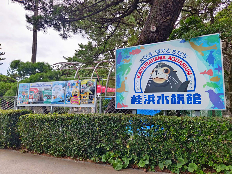 桂浜水族館