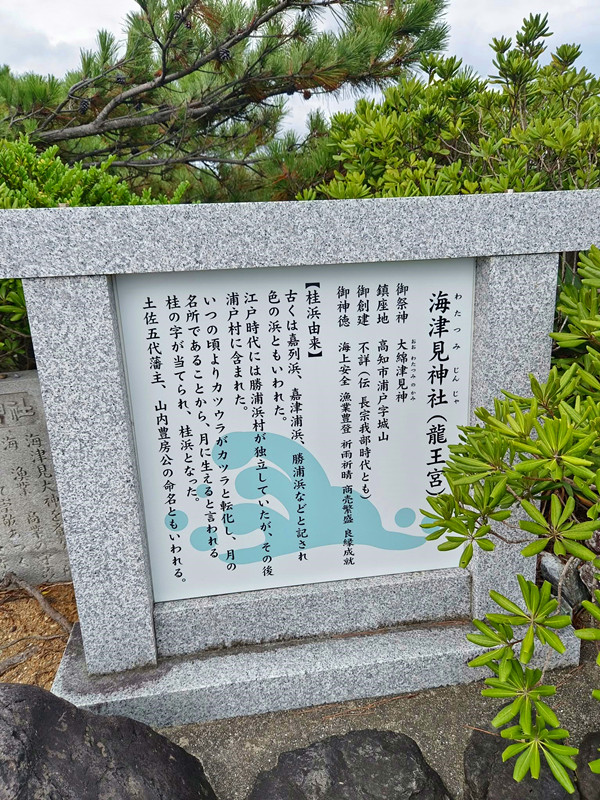 桂浜公園
