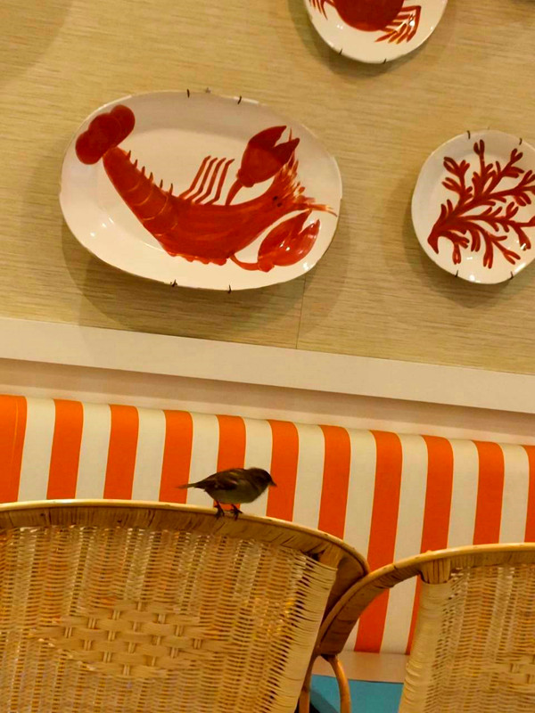 西班牙美食|在巴塞隆納Marina Bay邂逅傳奇海鮮鐵鍋燉飯 Marina Bay Barcelona