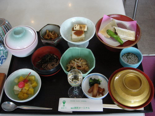 2010東京箱根之旅(7)~箱根海盜船&湖邊風味餐