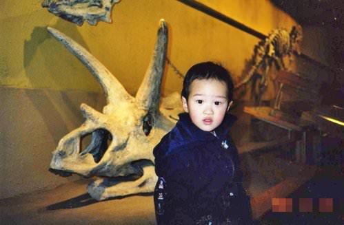 遇見侏羅紀~加拿大恐龍博物館