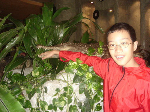 2009廣州香港遊記(3)~長隆酒店[景觀篇]
